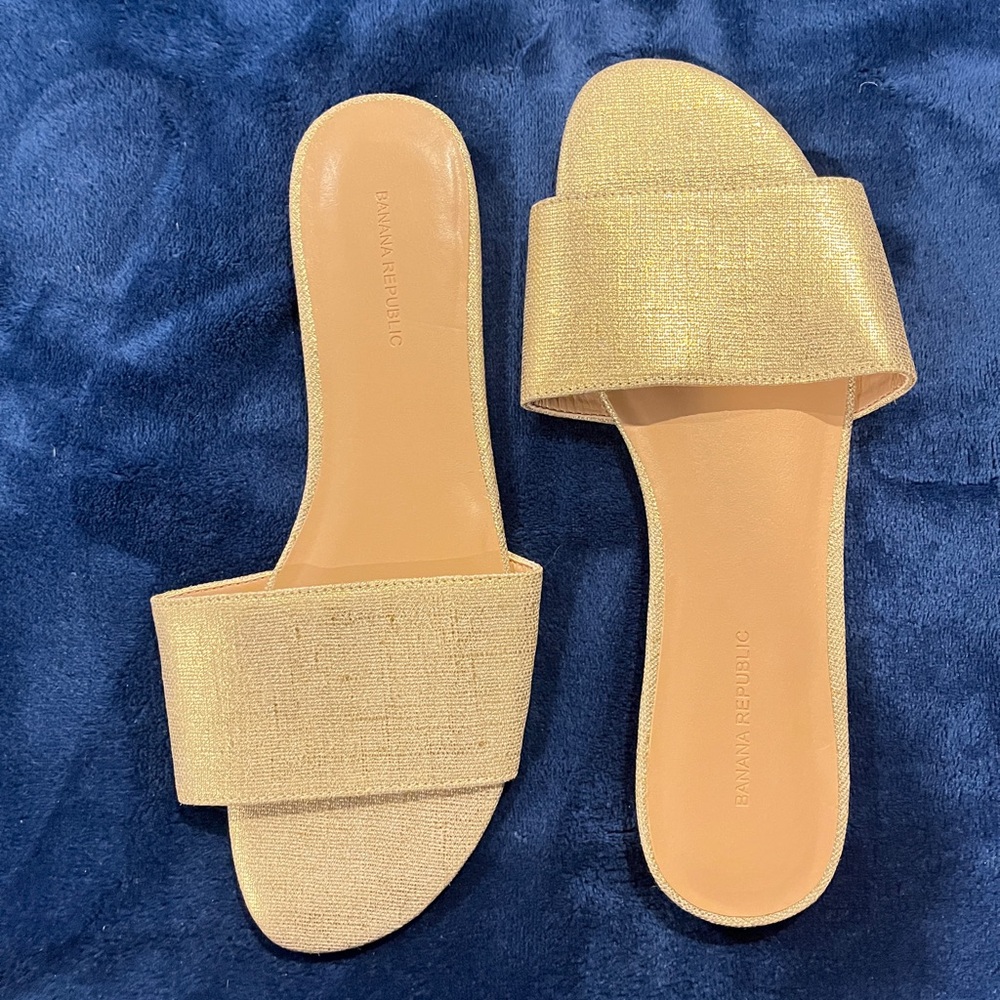 Banana Republic Shimmering Gold Slide Sandals